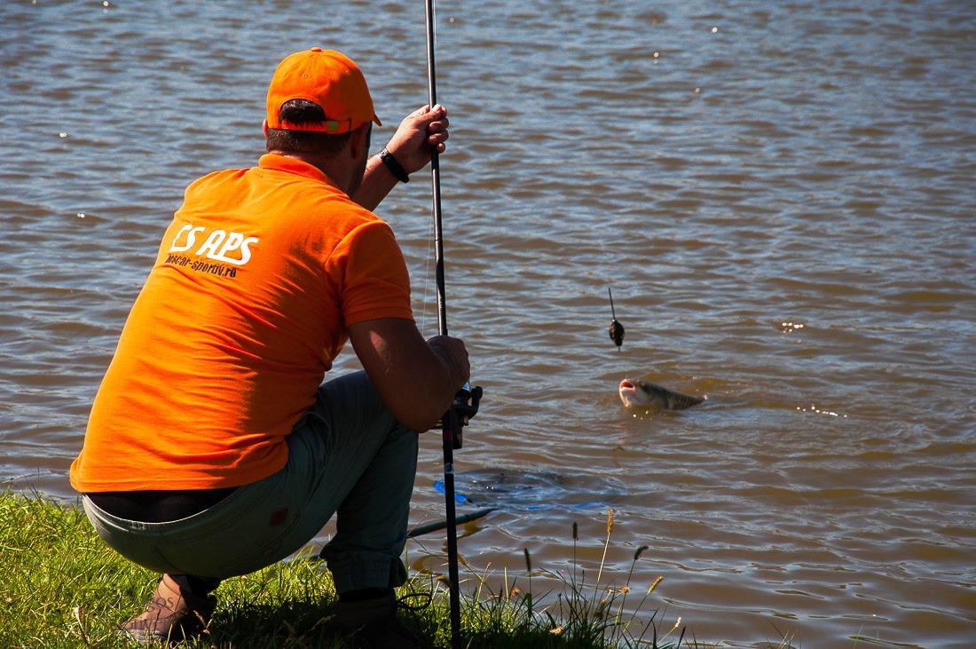 cenusaru 15 septembrie - 17 septemb 2017 - 3h.jpg